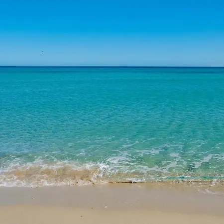 Sas Tilibbas-ammentos