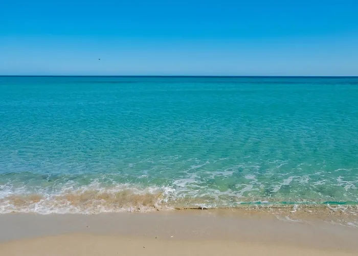 Sas Tilibbas-ammentos